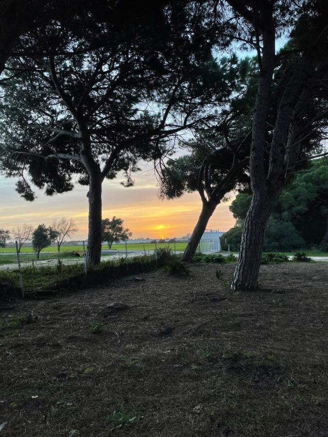 Casa Rural Vacacional Puerto Real Kültér fotó